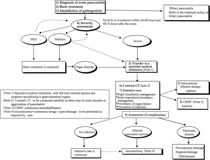 Preventing and Managing Complications of Acute Pancreatitis: Strategies and Recommendations