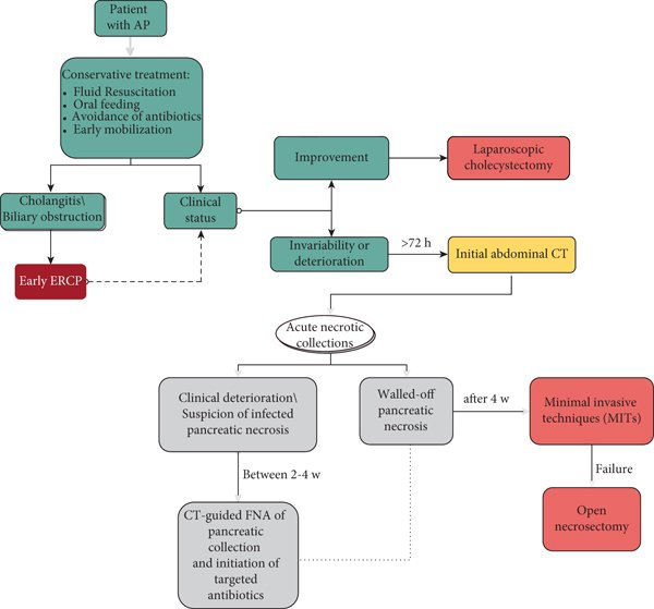 Preventing and Managing Complications of Acute Pancreatitis: Strategies and Recommendations