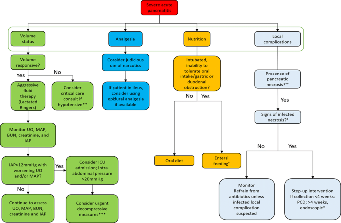 Preventing and Managing Complications of Acute Pancreatitis: Strategies and Recommendations