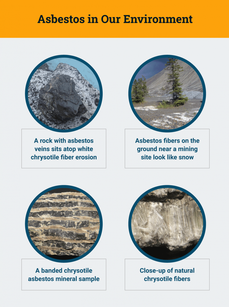 Preventing Asbestosis: Tips for a Safe and Healthy Environment