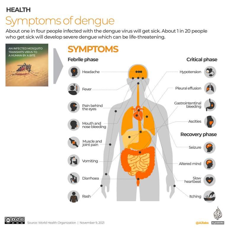 Preventing Dengue Hemorrhagic Fever Outbreaks