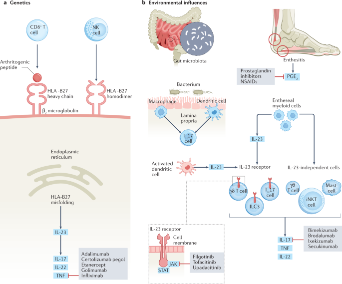 Preventing Disability Progression in Ankylosing Spondylitis: Key Strategies and Therapies