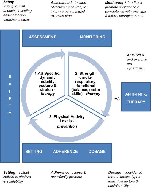 Preventing Disability Progression in Ankylosing Spondylitis: Key Strategies and Therapies