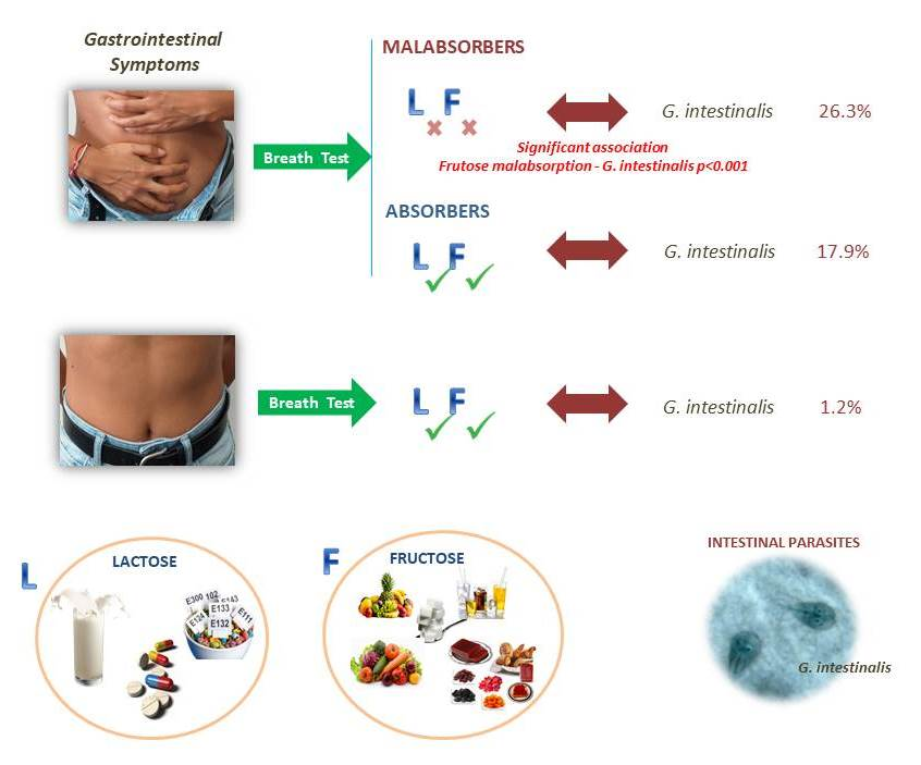 Preventing Giardiasis: Effective Measures and Strategies