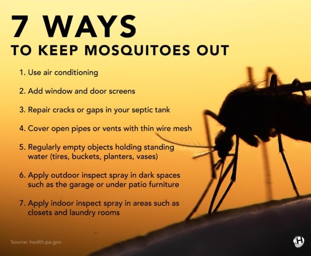 Preventing Insect Bites: Tips for Outdoor Activities
