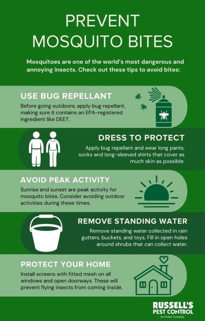 Preventing Insect Bites Tips For Outdoor Activities Preventing Insect Bites Tips For Outdoor Activities