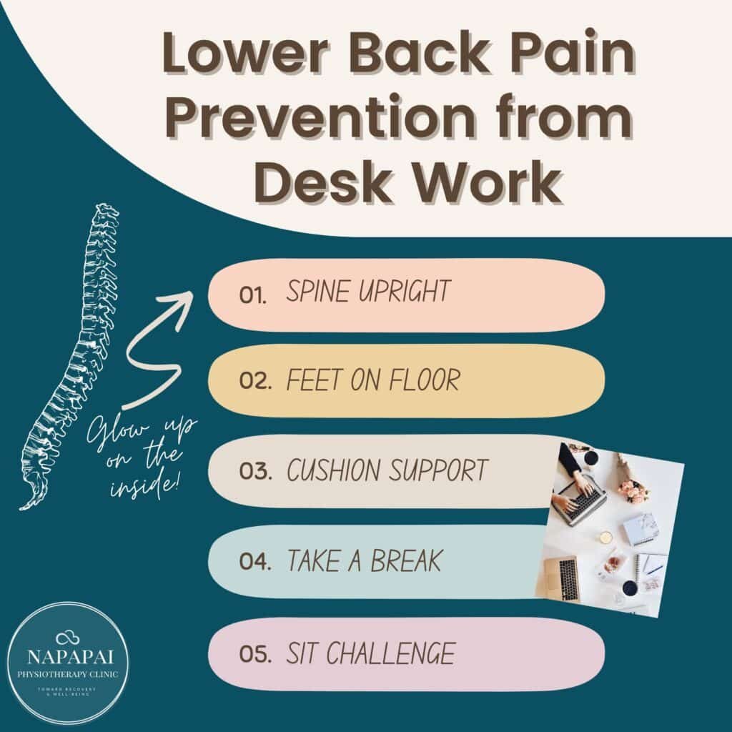 Preventing Lower Back Pain in the Workplace