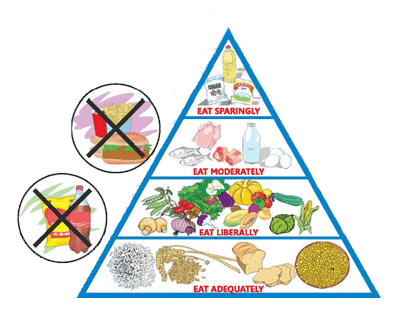 Preventing Malnutrition through Proper Nutrition Education