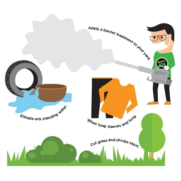 Preventing Mosquito Borne Diseases Ask The Nurse Expert