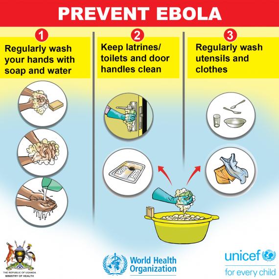 Preventing the Spread of the Ebola Virus Disease