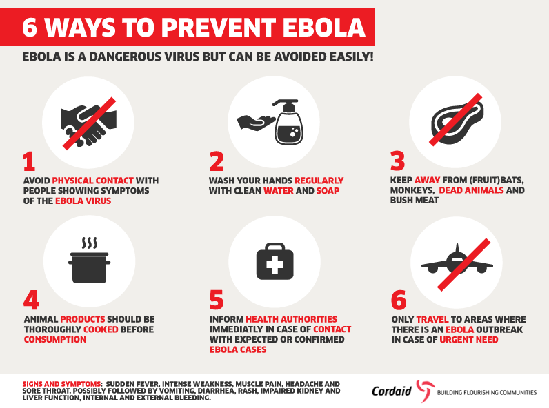 Preventing the Spread of the Ebola Virus Disease