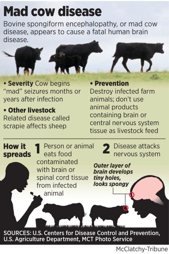 Prevention and Detection of Mad Cow Disease