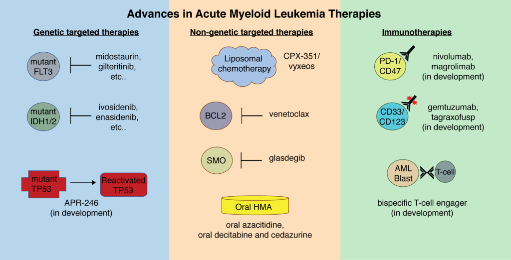 Promising New Therapies for Acute Myeloid Leukemia Promising New Therapies for Acute Myeloid Leukemia