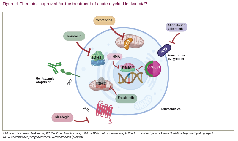 Promising New Therapies for Acute Myeloid Leukemia Promising New Therapies for Acute Myeloid Leukemia