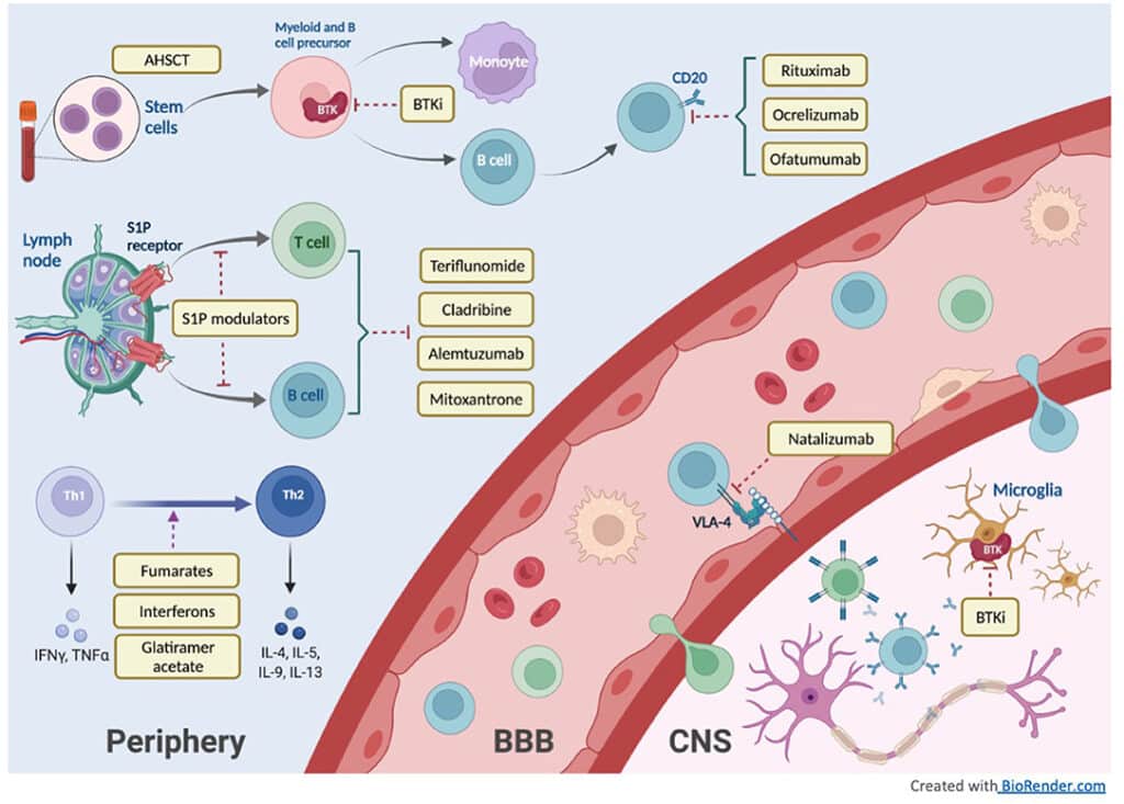 Promising Therapies for Multiple Sclerosis Treatment