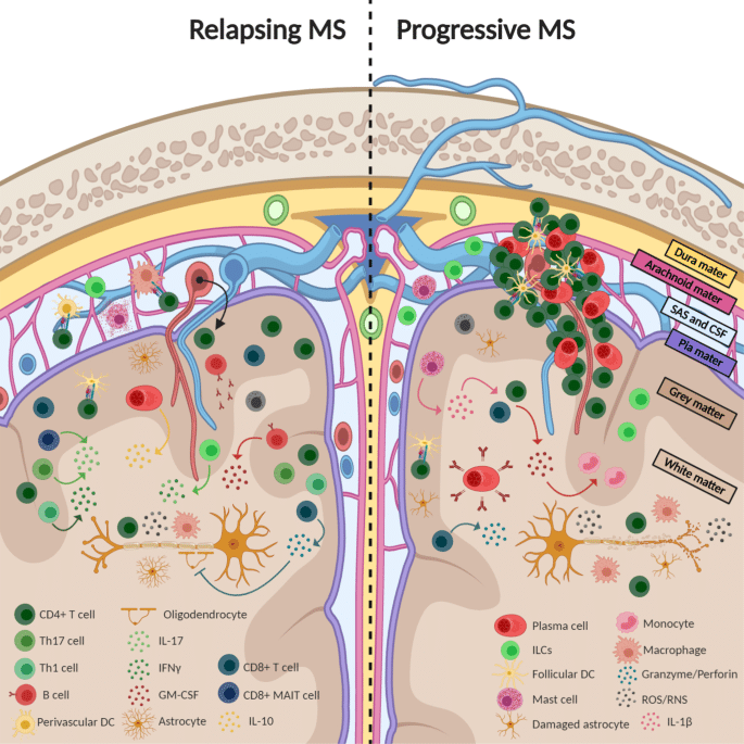 Promising Therapies for Multiple Sclerosis Treatment