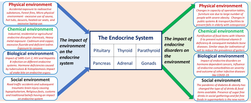Promoting Awareness and Education about Endocrine System Disorders