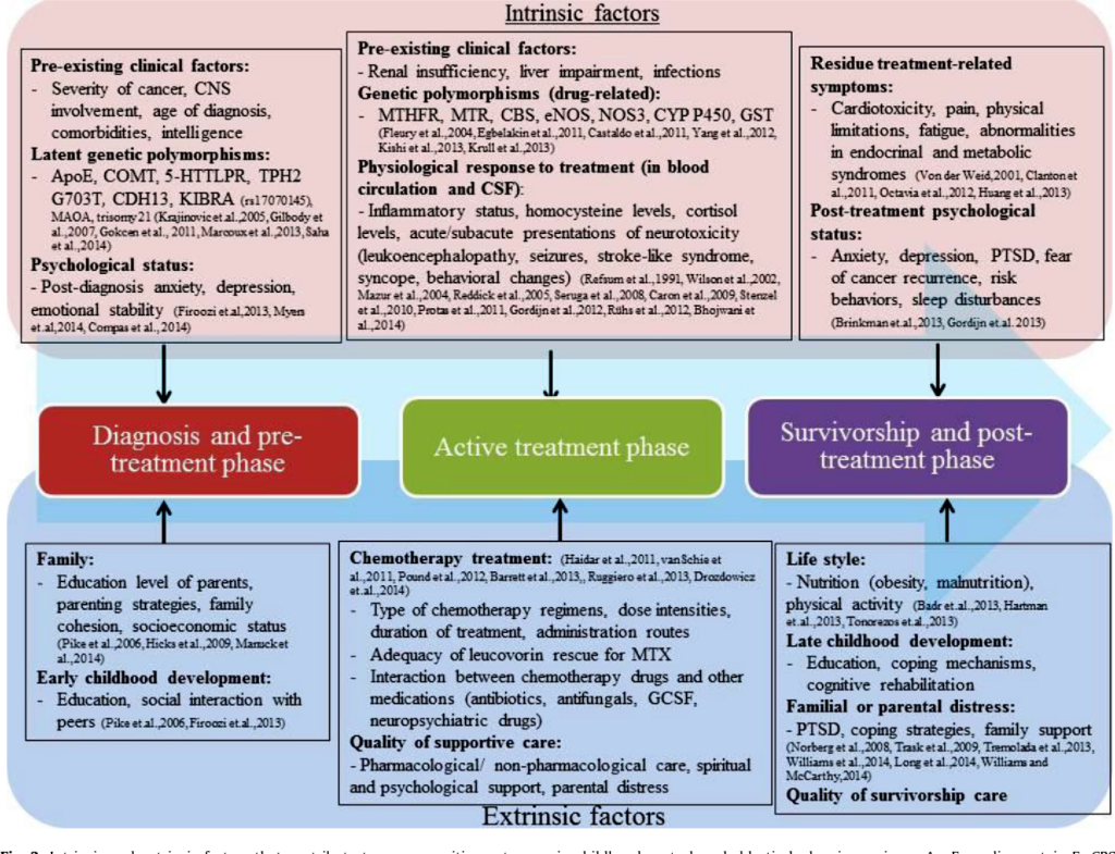 Psychological Impact of Acute Lymphoblastic Leukemia on Children