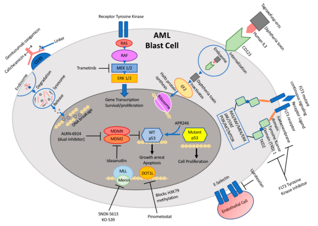 Recent Advances in Acute Myeloid Leukemia Treatment for Children