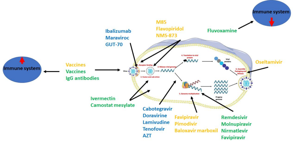 Recent Advances in Antiviral Strategies Against Influenza Pandemics in Humans