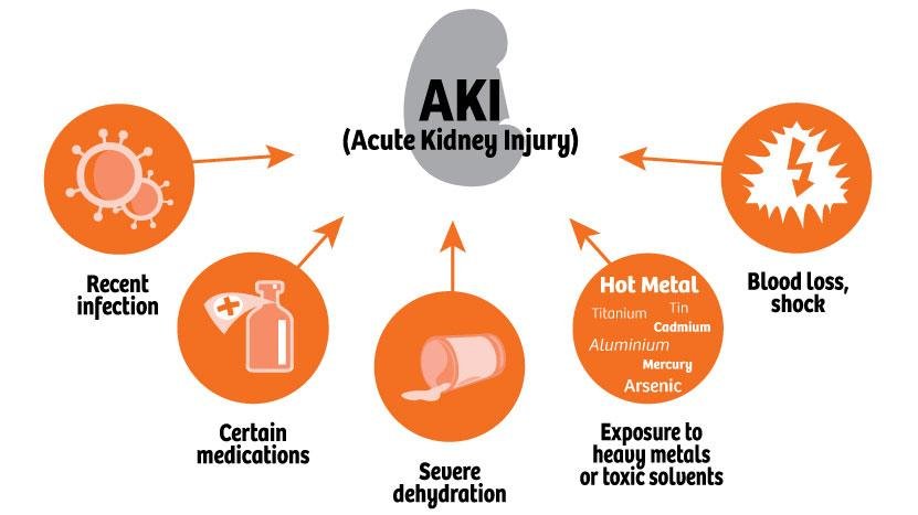 Risk Factors And Precautions For Acute Renal Failure