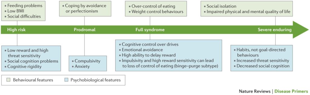 Risk Factors And Precautions For Anorexia Nervosa