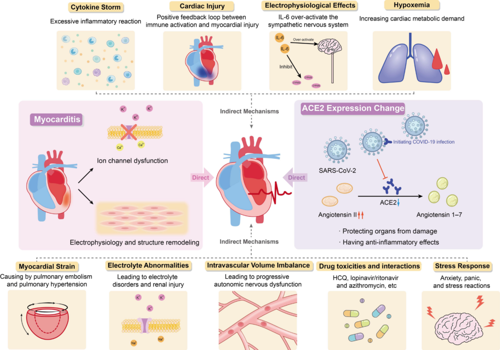 Risk Factors And Precautions For Arrhythmia