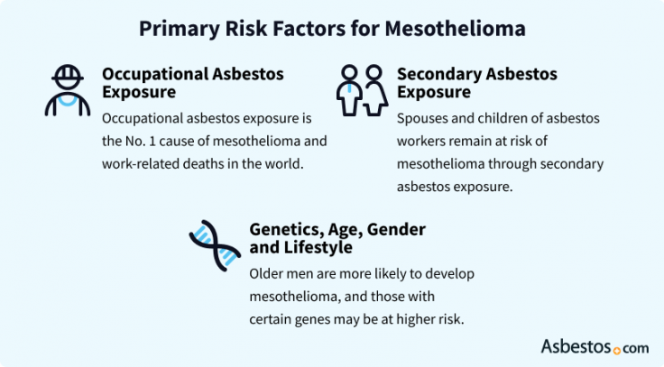 Risk Factors And Precautions For Asbestos Cancer
