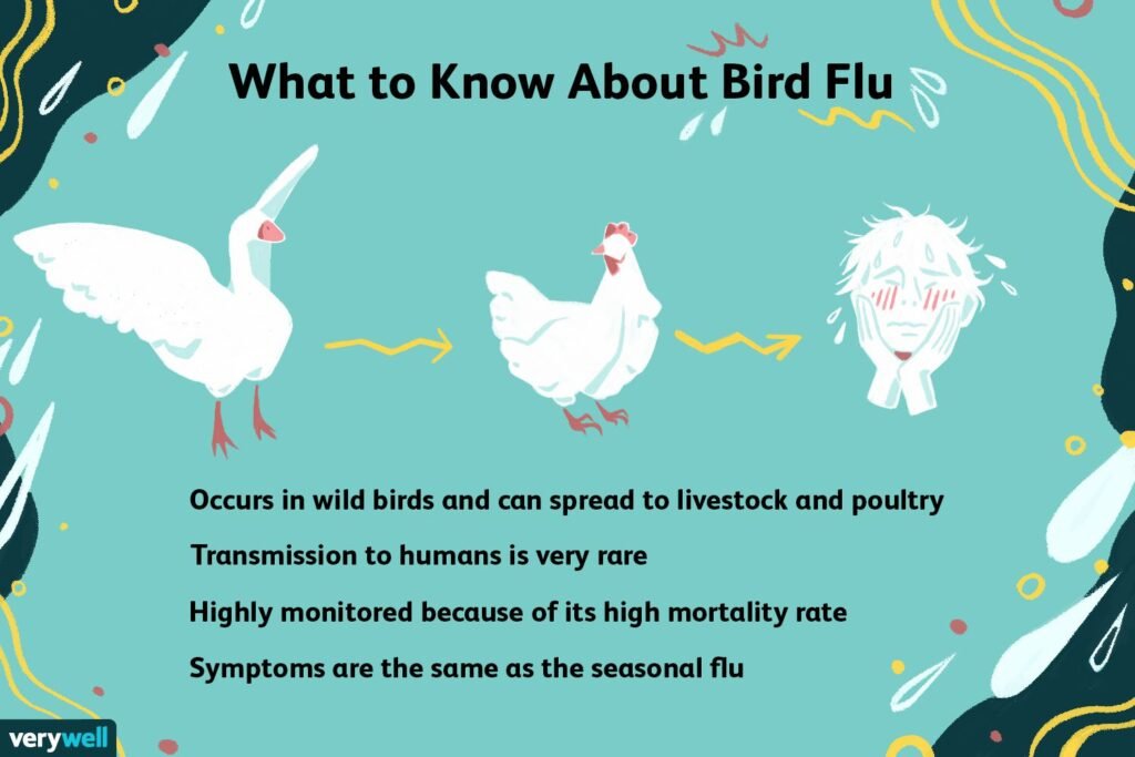 Risk Factors And Precautions For Avian Flu
