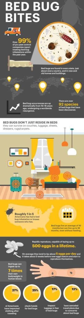 Risk Factors And Precautions For Bed Bugs Bite