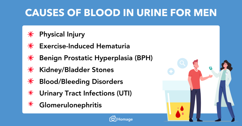 Risk Factors And Precautions For Blood In Urine
