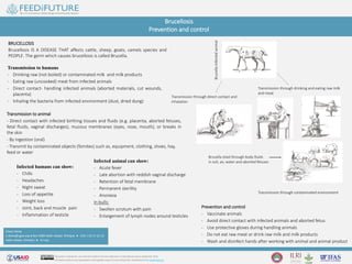 Risk Factors And Precautions For Brucellosis