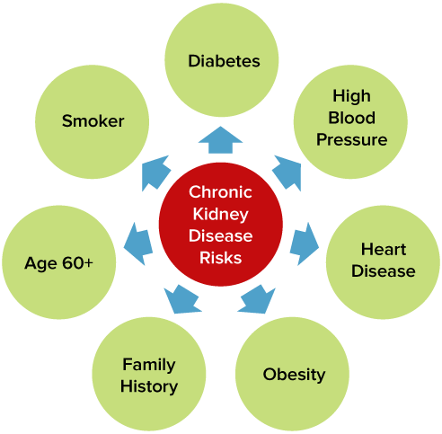 Risk Factors And Precautions For Chronic Kidney Disease