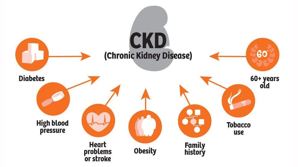 Risk Factors And Precautions For Chronic Kidney Disease