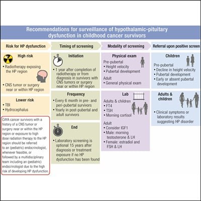 Risk Factors And Precautions For Endocrine System Disorders