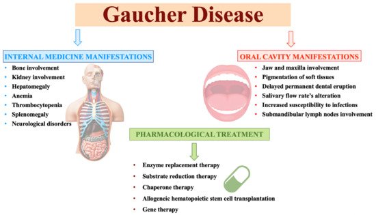Risk Factors And Precautions For Gaucher Disease