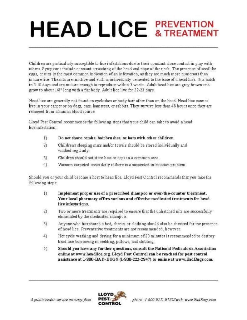 Risk Factors And Precautions For Head Lice