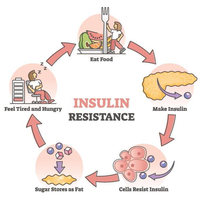 Risk Factors And Precautions For Insulin Resistance
