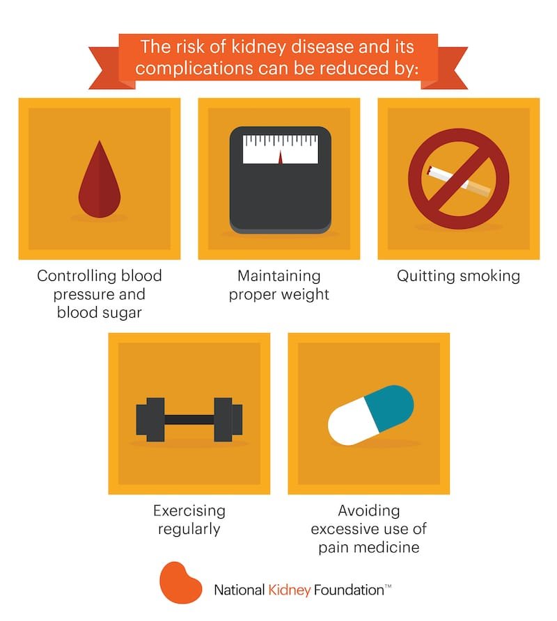 Risk Factors And Precautions For Kidney Disease