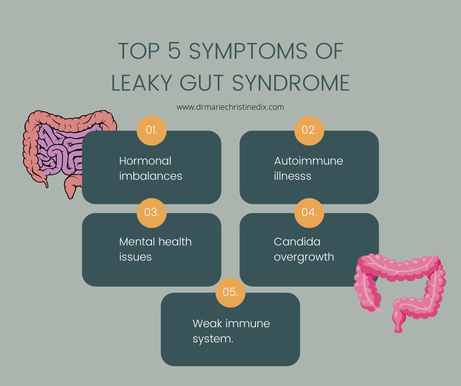 Risk Factors And Precautions For Leaky Gut Syndrome