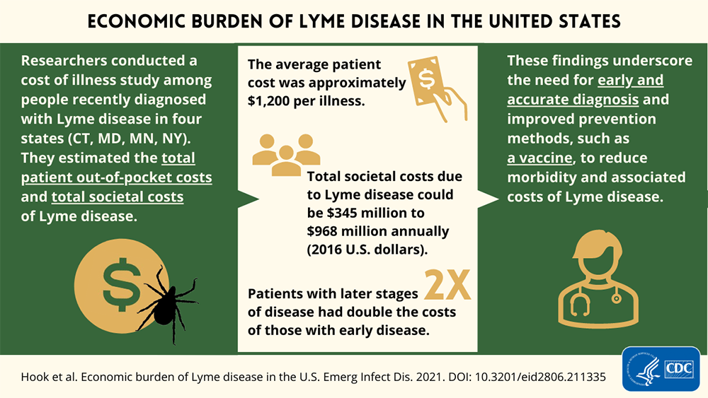 Risk Factors And Precautions For Lyme Disease