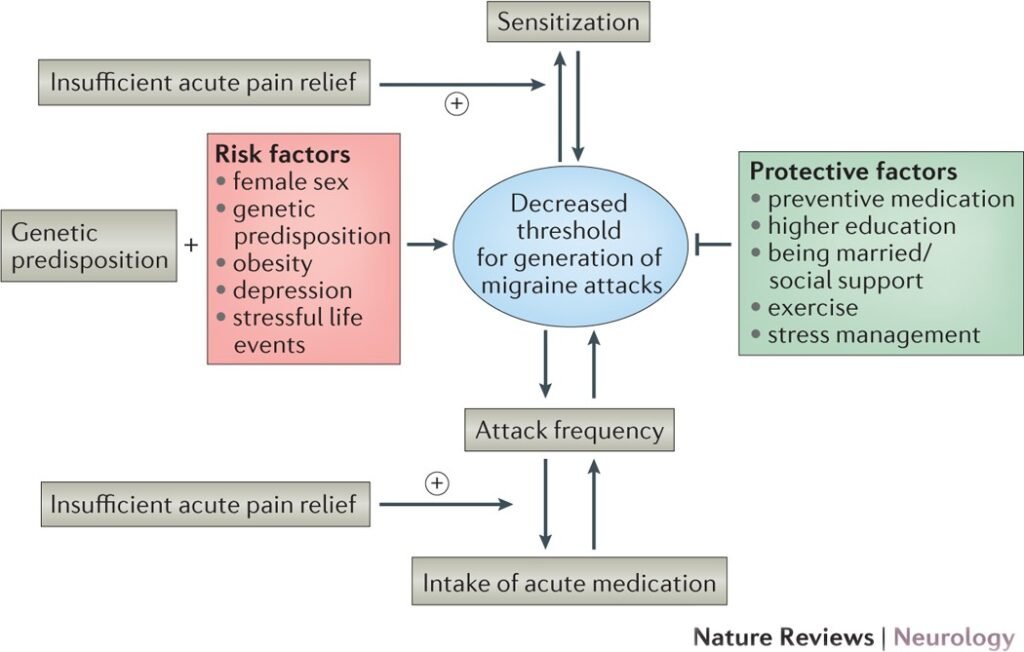 Risk Factors And Precautions For Migraines-Headaches