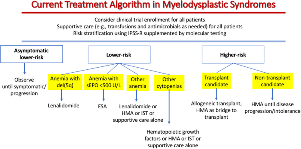 Risk Factors And Precautions For Myelodysplastic Syndrome-MDS