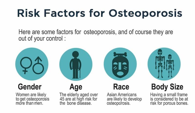 Risk Factors And Precautions For Osteoporosis