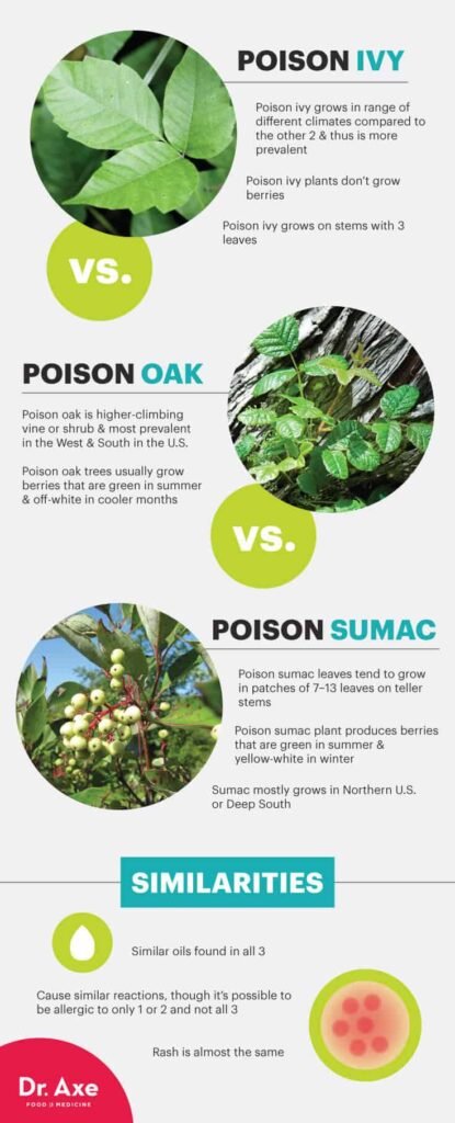 Risk Factors And Precautions For Poison Ivy