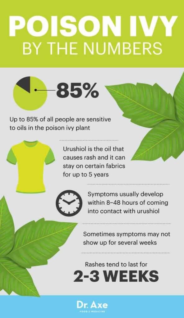 Risk Factors And Precautions For Poison Ivy