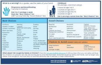 Risk Factors And Precautions For Pregnancy