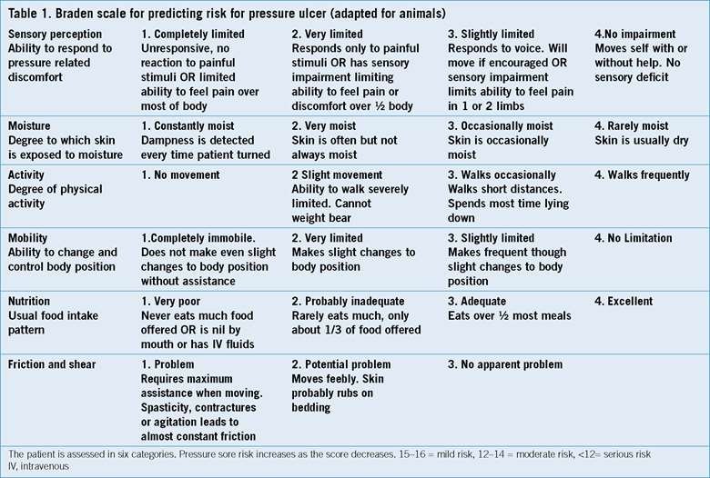 Risk Factors And Precautions For Pressure Ulcer