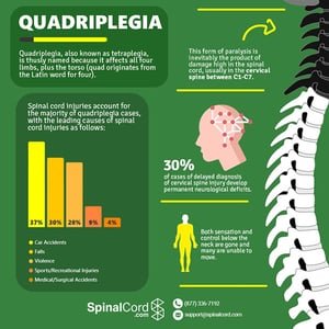 Risk Factors And Precautions For Quadriplegia