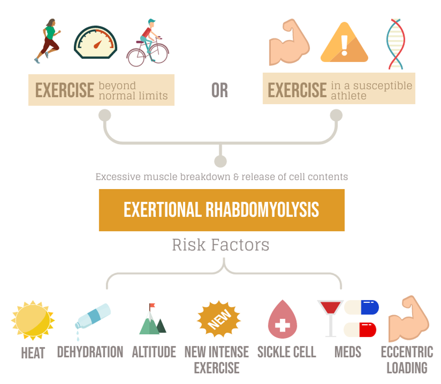 Risk Factors And Precautions For Rhabdomyolysis